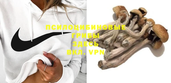 гашишное масло Богданович