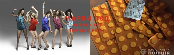 mdpv Богородск