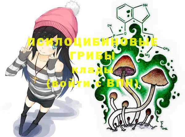2c-b Богородицк