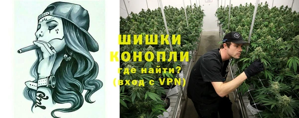 2c-b Богородицк