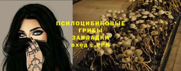 2c-b Богородицк